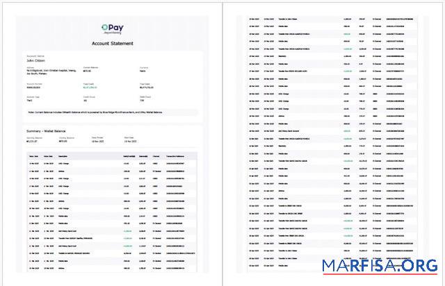 Realistic Nigeria Opay account statement word 2 pages download for verification
